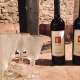 THE WINE OF THE COUNTS ZANARDI LANDI Wine tasting and teambuilding