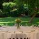 CROWNE PLAZA ROME ST. PETERS 